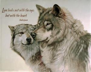 Wolves in Relationship